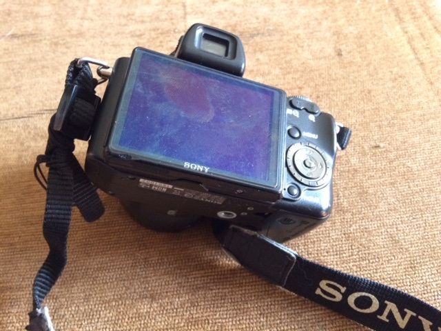 Sony Cyber-shot DSC-H50 9.1MP Digital Camera - Black