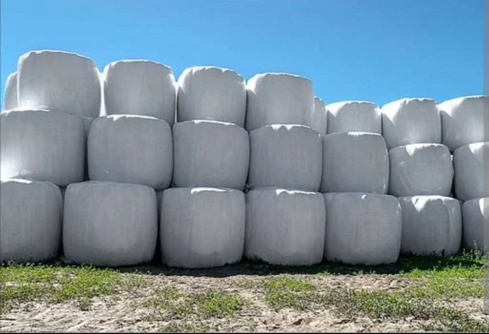 Bele sianokiszonki z lucerną 130 cm!!!