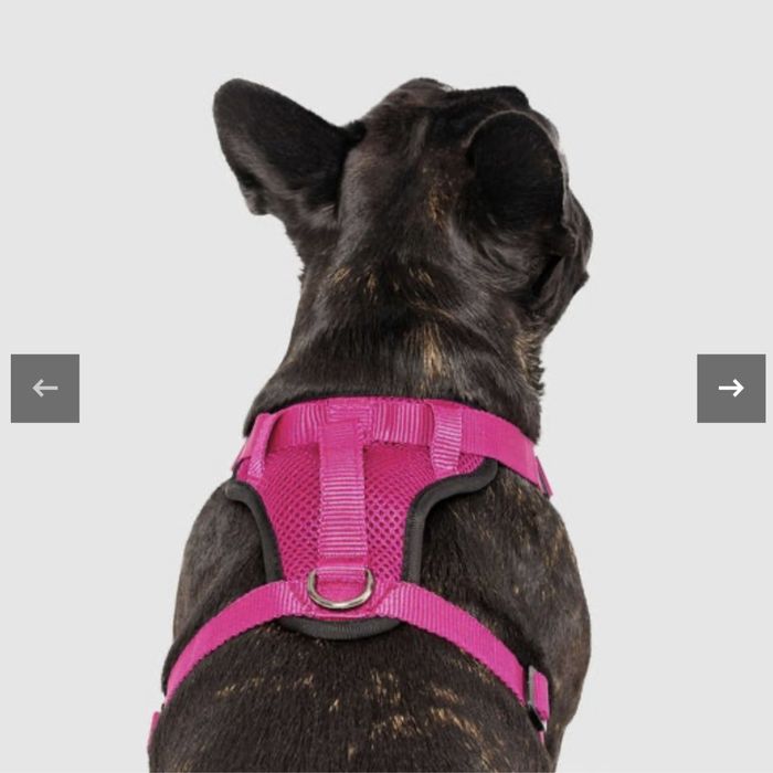 Шлейка для собак р.m everything harness