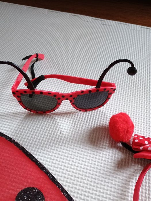 Strój przebranie biedronka