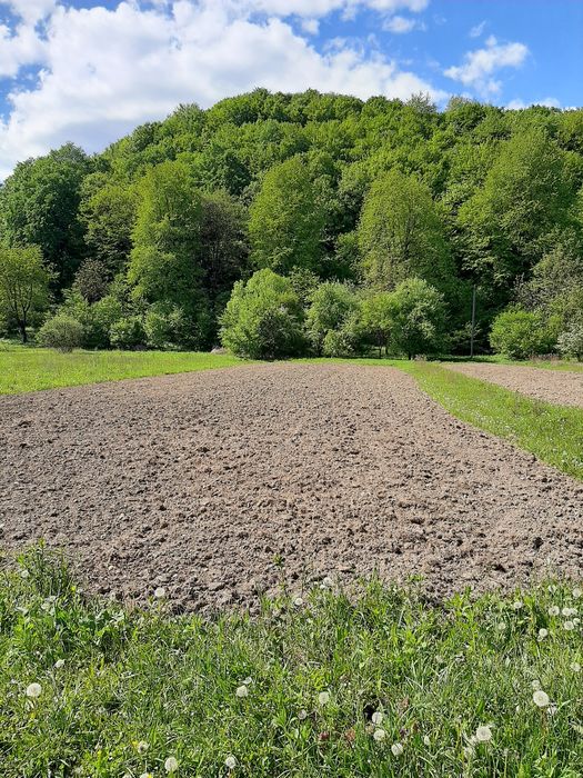 Земельна ділянка м. Свалява