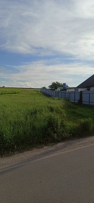 Продам земельну ділянку в Шкарівці