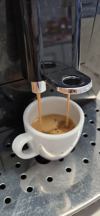 DeLonghi Magnifica S