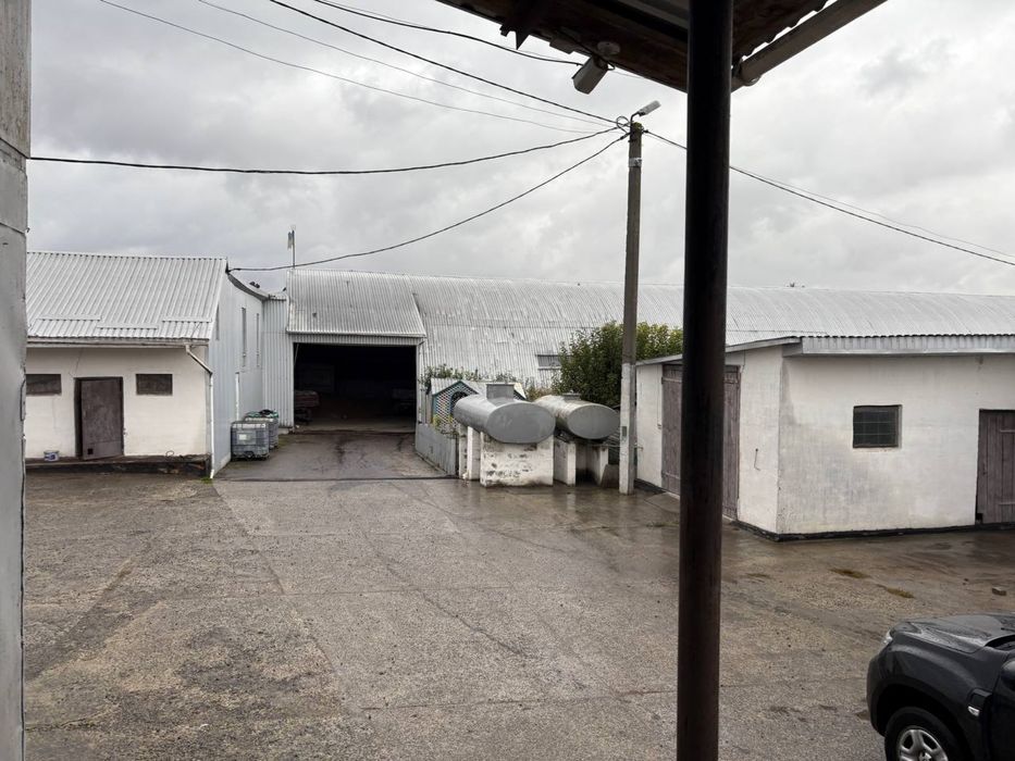 Діючий бізнес. Діюча комплексна свиноферма