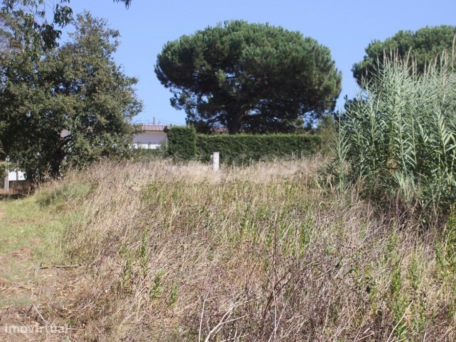 Terreno para construção em Casal do Rei - Rio Maior / Caldas da Rainha