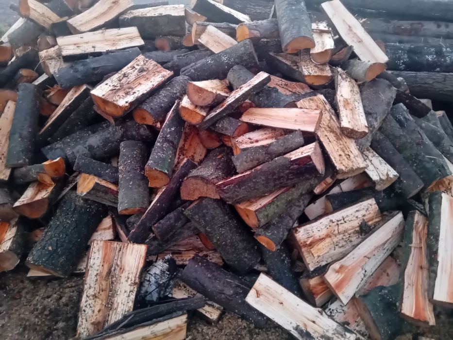 Drewno kominkowe,opałowe