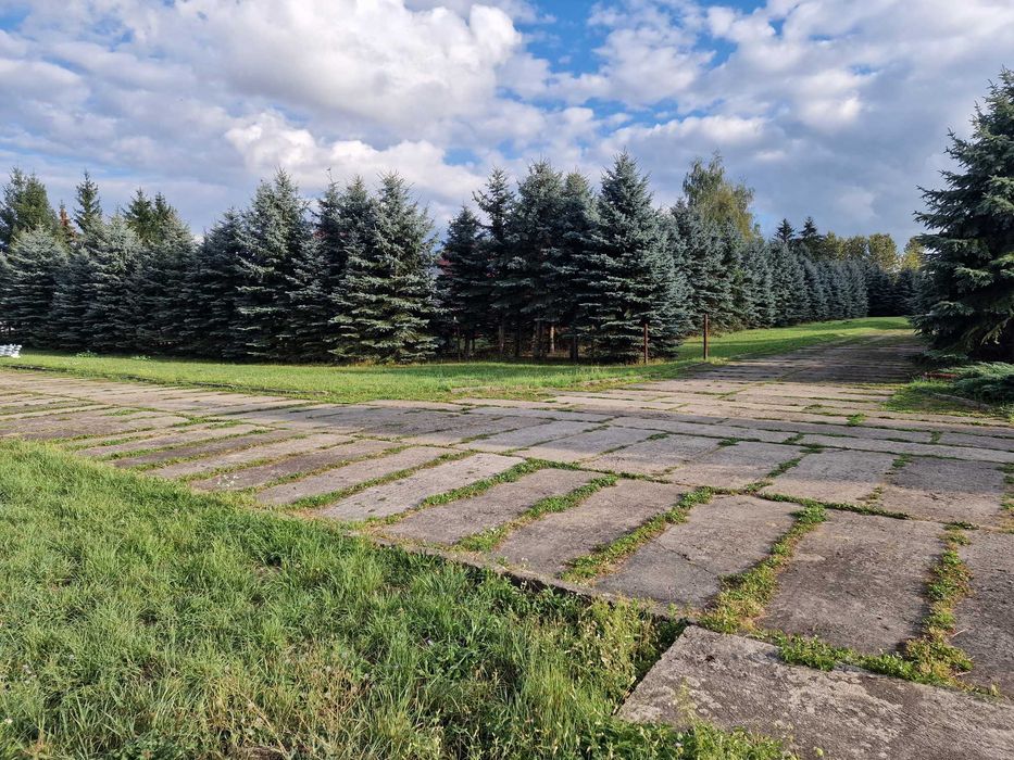 plac działka do wynajęcia utwardzona ogrodzona dojazd TIR