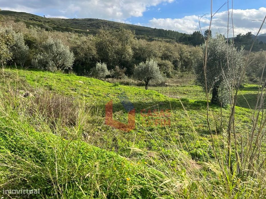 Terreno para construção em Porto de Mós perto da serra, local muito... — Porto De Mós - São João Baptista E São Pedro, Leiria