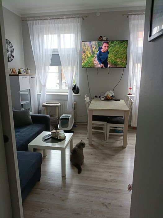 Sprzedam mieszkanie 35 m2  w centrum Sulechowa, ul. Zwycięstwa