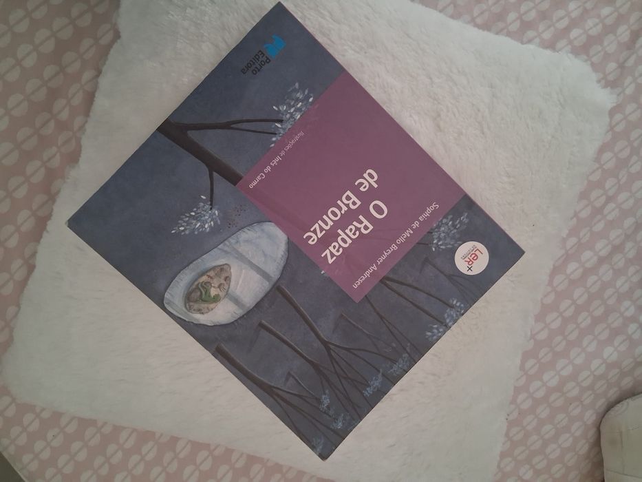 Livro O Rapaz de Bronze - PNL