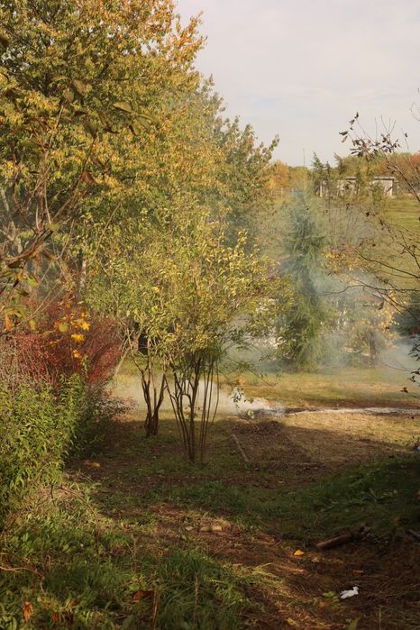 Działka ROD Oaza Uniszowice, pięknie położona, duża 500 m² z domkiem drewnianym, prąd, woda - Widok 2