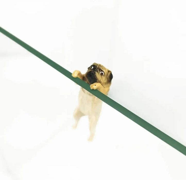 Мопс для акваріума