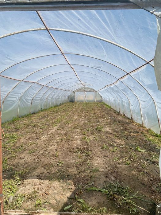 Tunel foliowy konstrukcja 32x7m