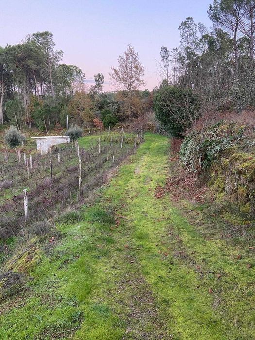 Vende-se quinta em Tibaldinho
