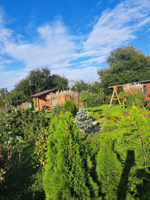 sprzedam działkę ROD