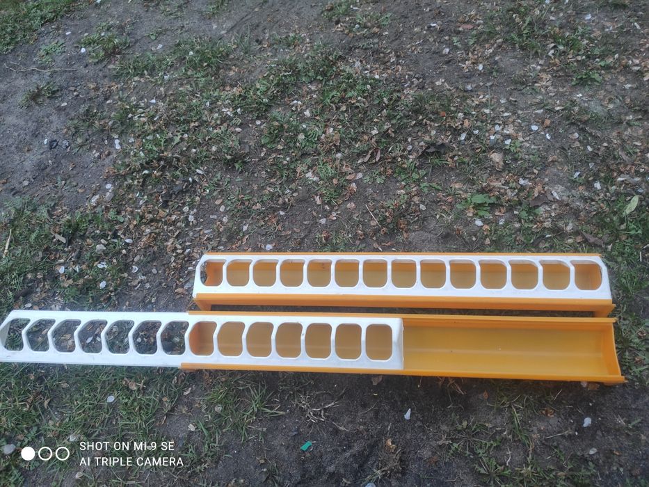 Karmniki dla piskląt