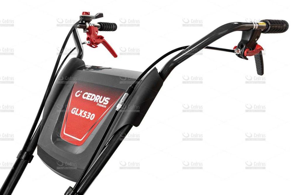 Glebogryzarka Cedrus Premium GLX530 z napędem 50 cm Faktura Raty 0%