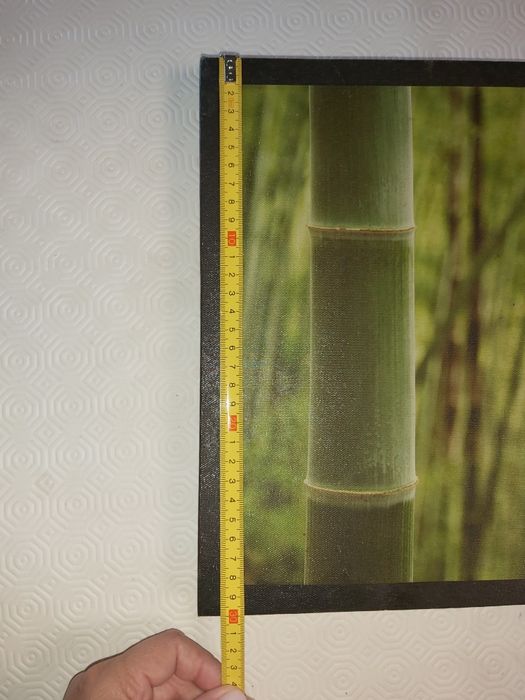 Tela decorativa com bambus verdes  5€