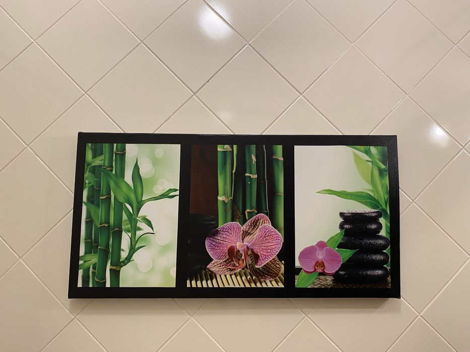 Conjunto de 3 quadros decorativos