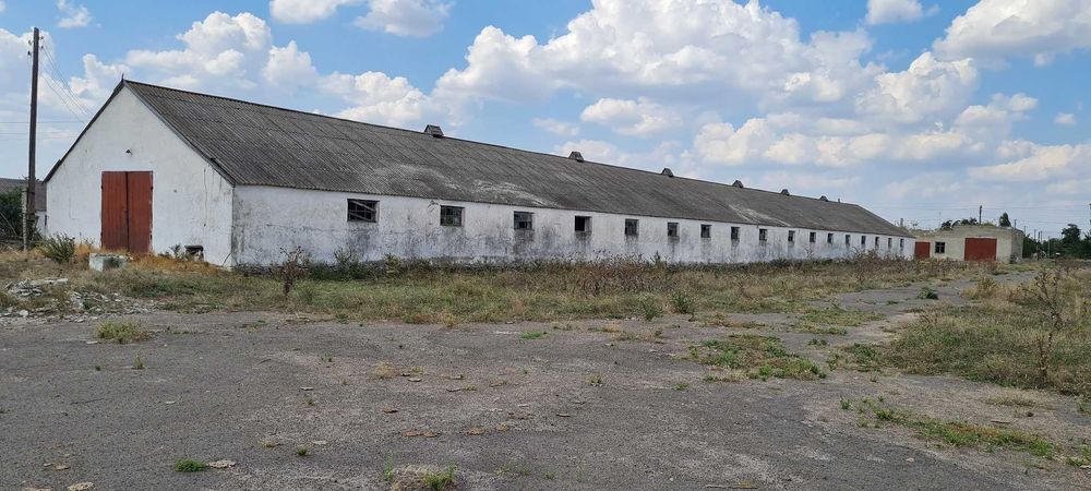 Продаж тваринницького комплексу. 5000 кв.м. 11 га.