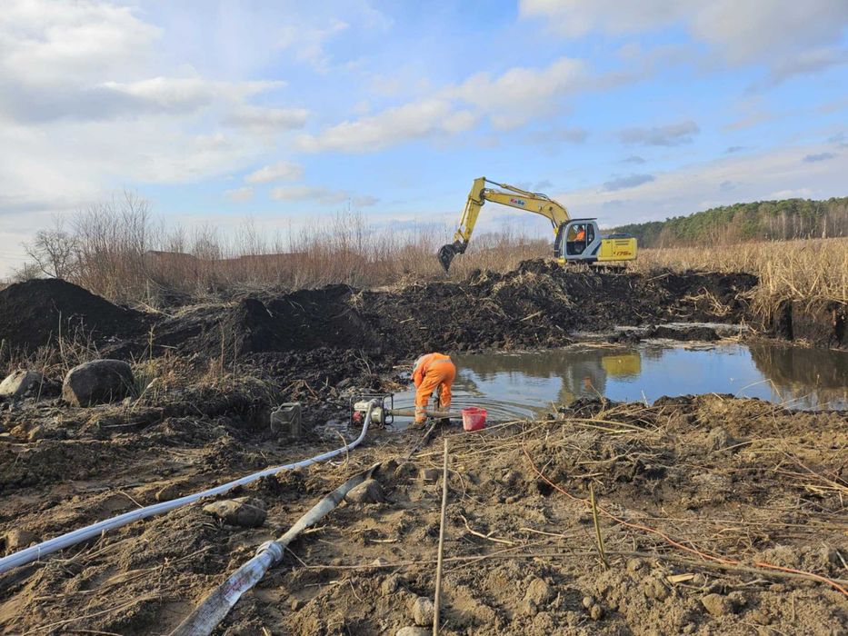 Torf wysokiej jakości – doskonały do ogrodów i roślin