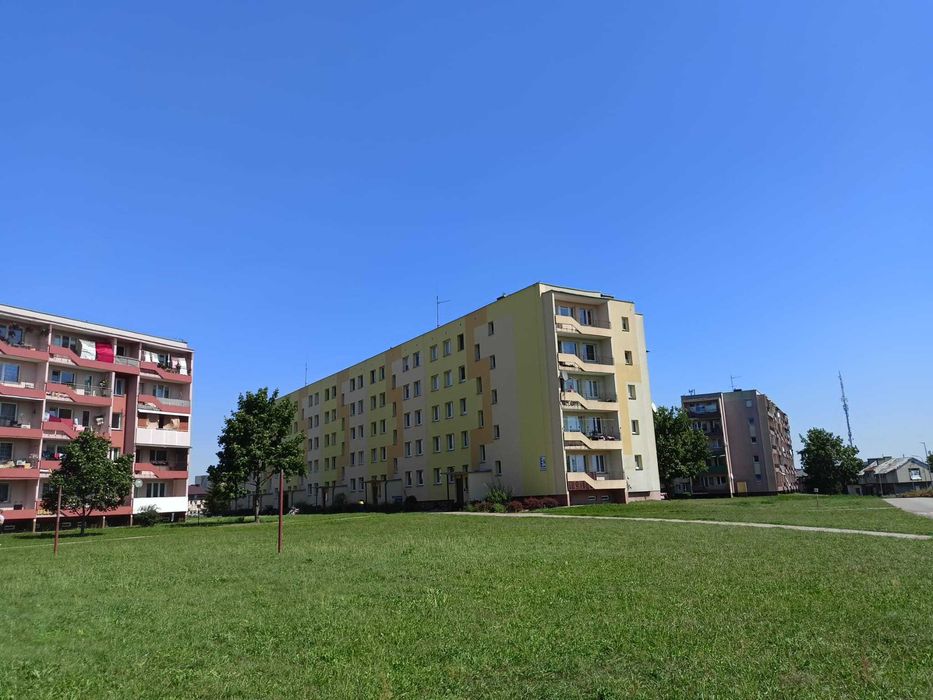 Zdjęcie 8