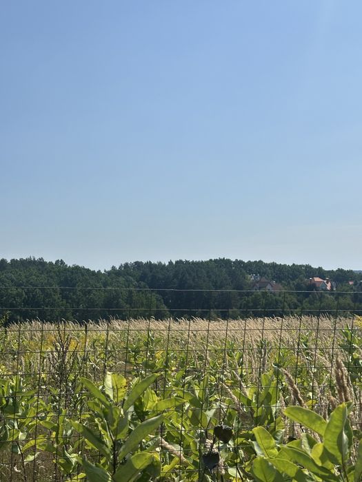 Земля с. Горбовичі