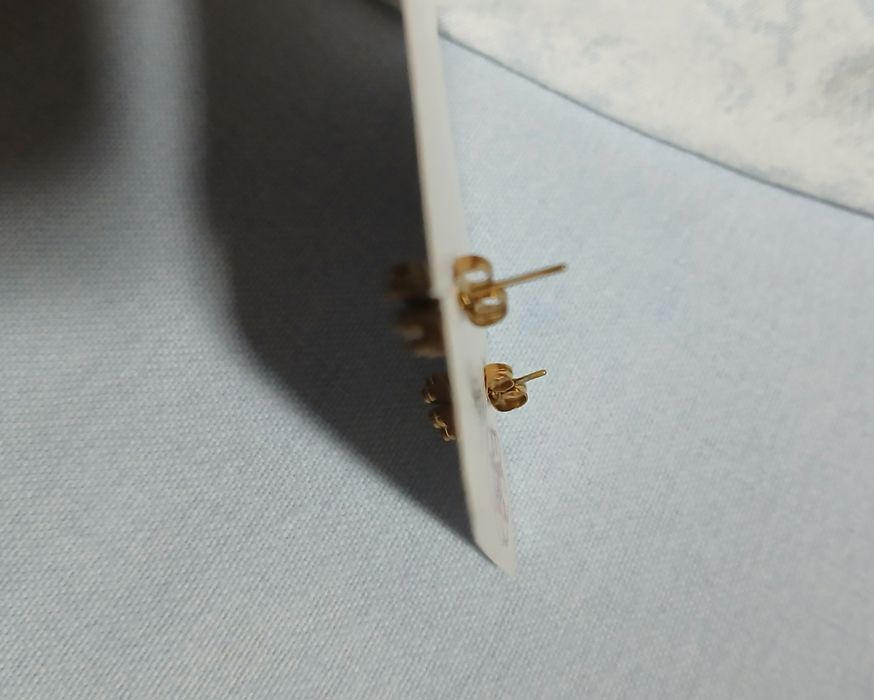 Brincos em forma de trevo de 4 folhas em aço