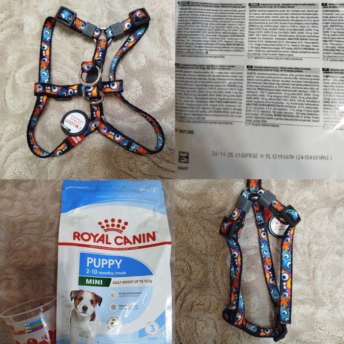 Шлея для маленької собаки Нова!