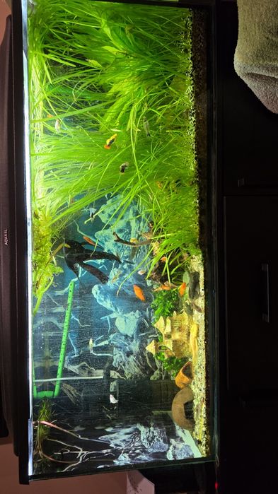 Akwarium 240/300L
