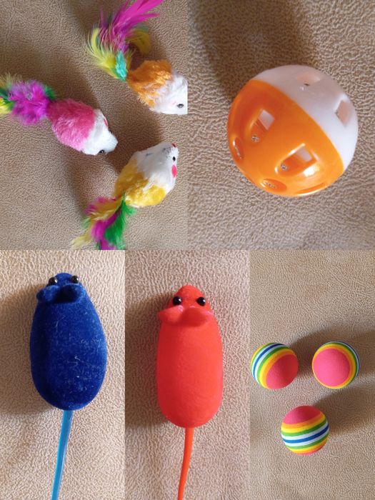 Іграшки для тварин