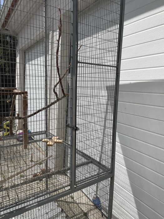 Gailola de ferro e inox