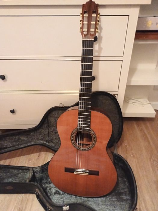 Guitarra paco castillo 204