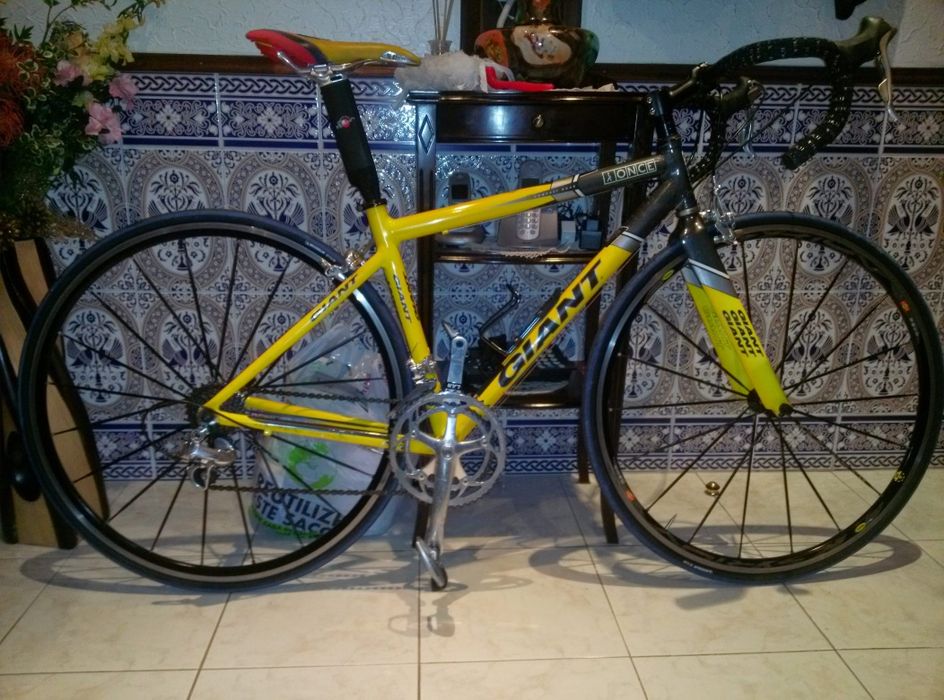 Bicicleta Giant team once