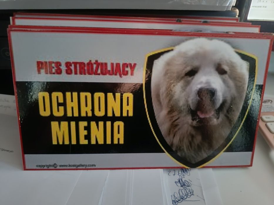 Tabliczka A6 ochrona mienia Uwaga zły pies nowa