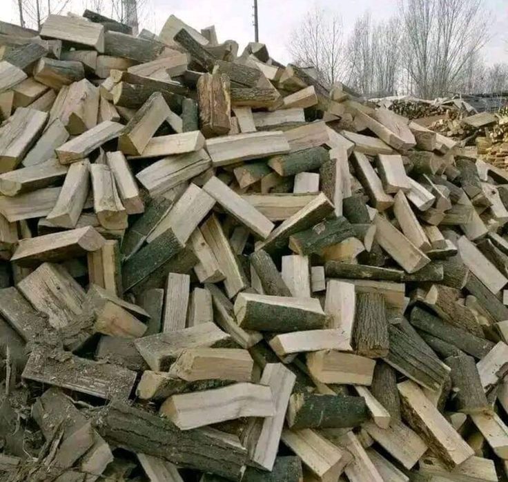 Дрова  колоті твердих порід