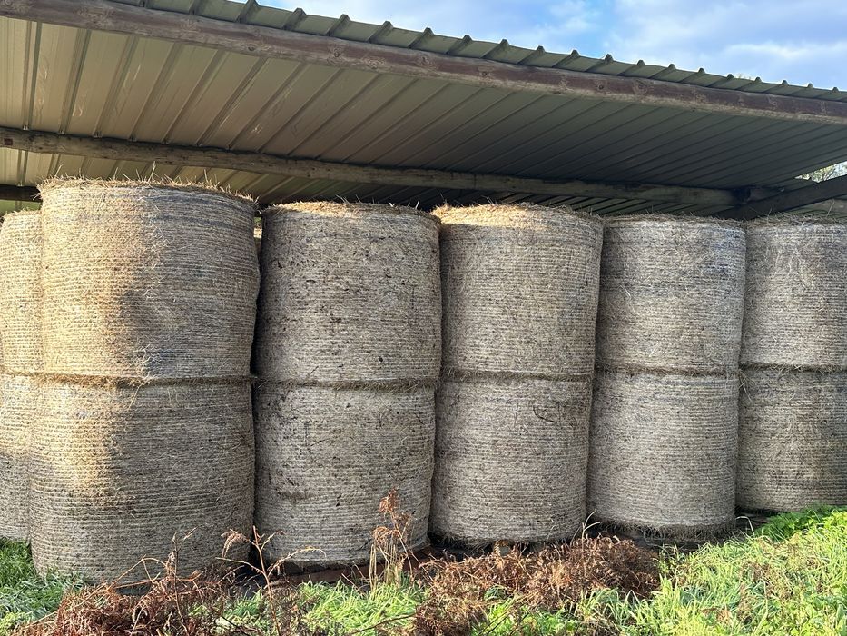 Silagem erva / Fenosilagem / Feno/Palha/fardos ou rolos plastificados