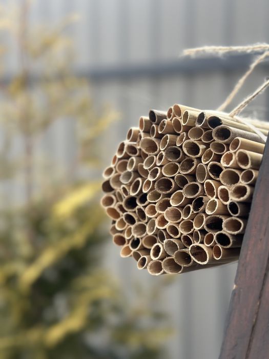 Будиночки для бджіл осмій. Очерет. Трубочки для осмій