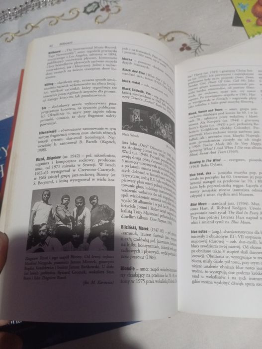 Encyklopedia muzyki rozrywkowej