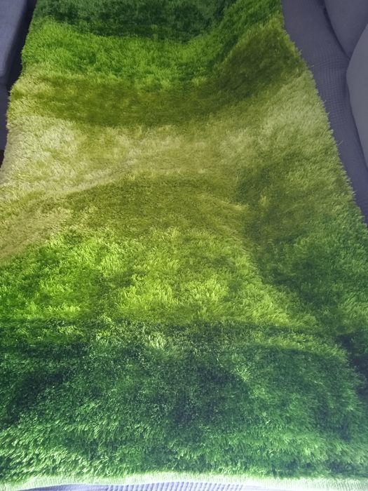New price. Carpet in like-new condition