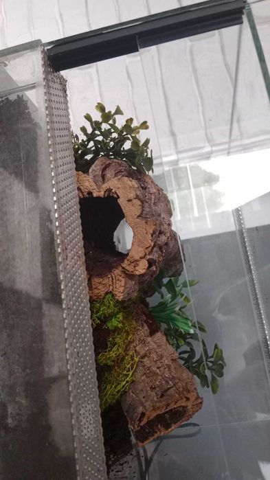 Terrarium 30x30x20
