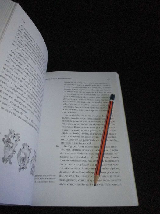 Livro A Árvore do Conhecimento Maturana e Varela