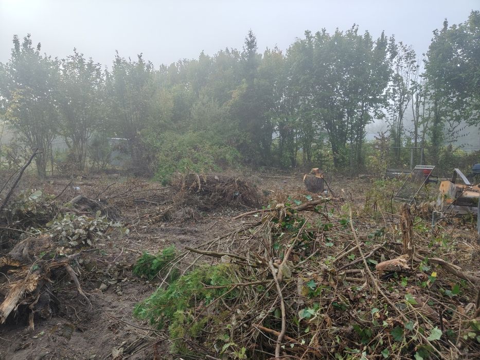 CZYSZCZENIE DZIAŁEK • wycinka drzew • Wyburzenia domów • MULCZER LEŚNY