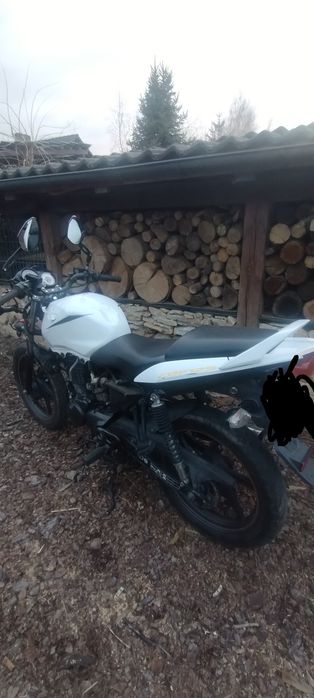 Honda CBF 125 JC40 2013 NA CZĘŚCI