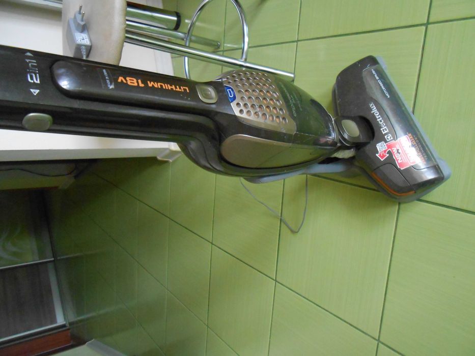 Порохотяг Акумуляторний Electrolux