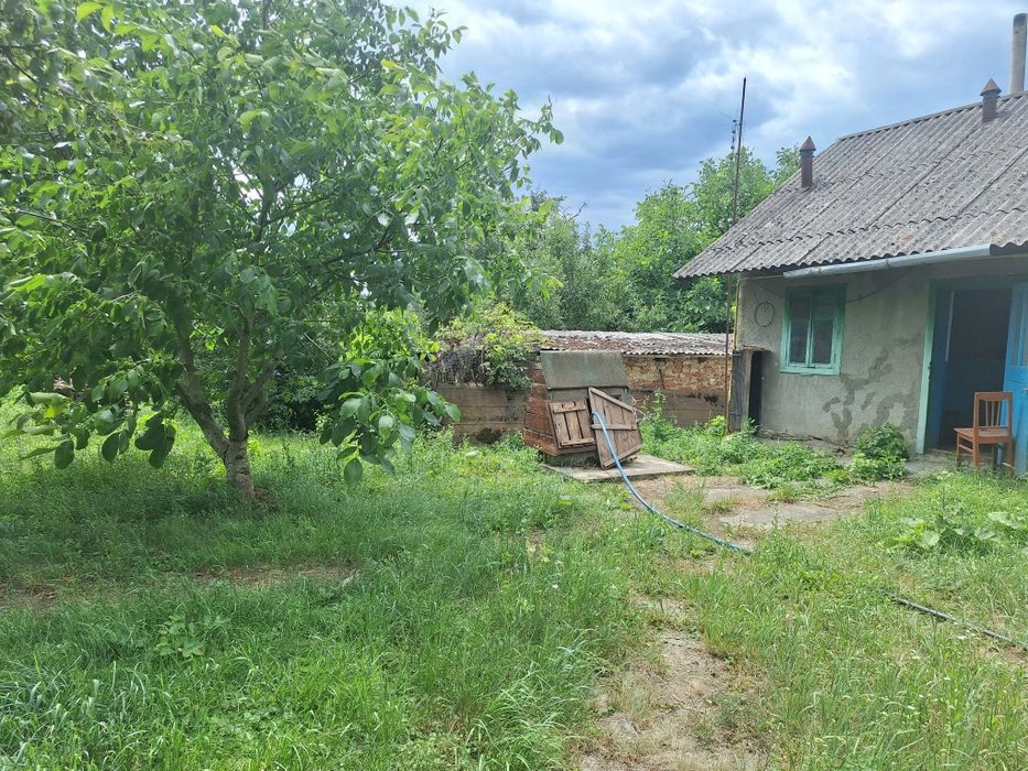 Будинок з прибудовами  на березі річки Дністер