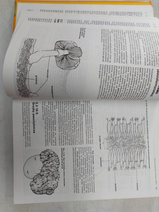 Biologia. Praca zbiorowa