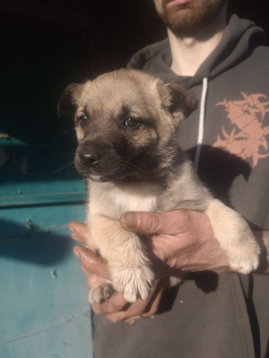 Хлопчик 2 міс вакцинован