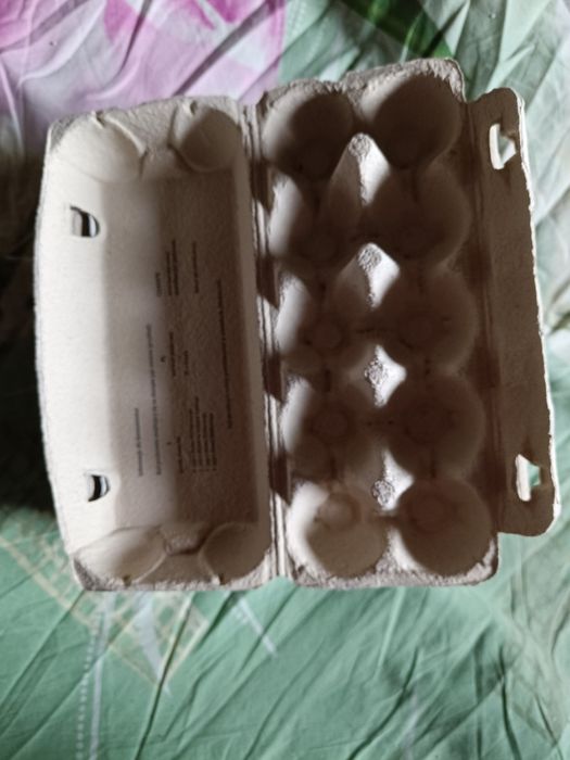 Wytłaczanki na jajka na 10 jajek