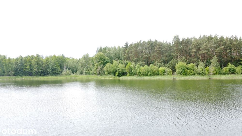 Zdjęcie 5